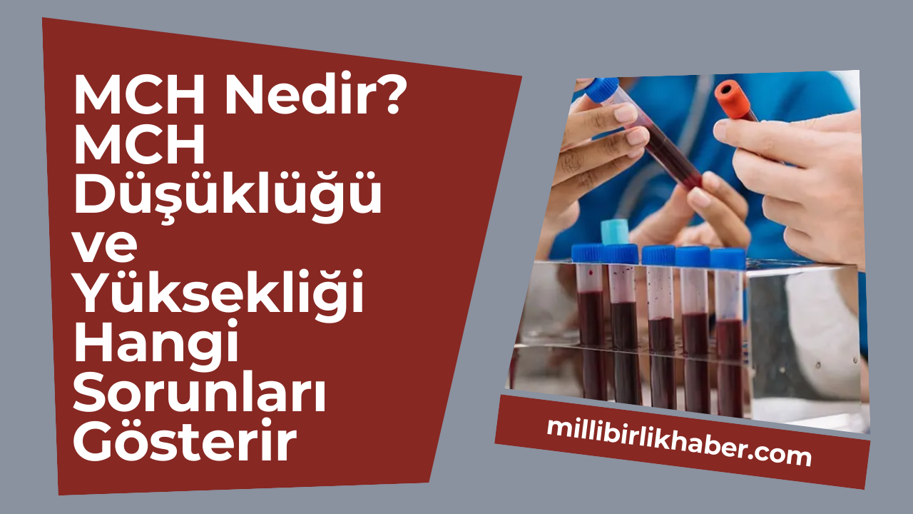 MCH Nedir? MCH Düşüklüğü ve Yüksekliği Hangi Sorunları Gösterir