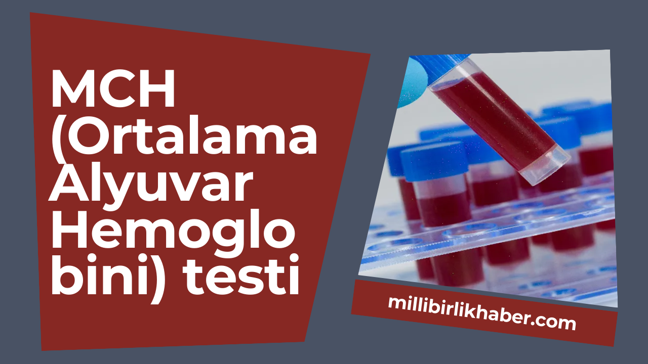 MCH (Ortalama Alyuvar Hemoglobini) testi