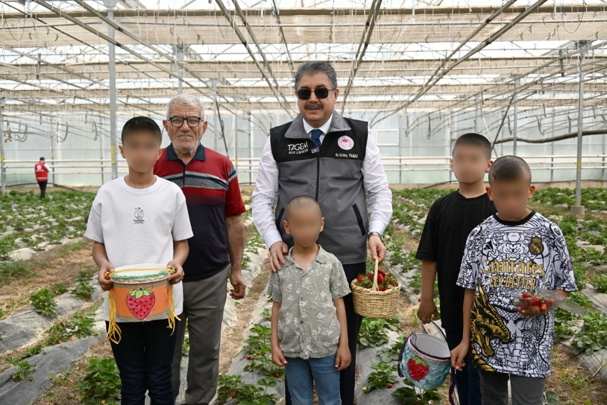 Vali Yılmaz, Özden Huzurevi’nde Kalan Büyüklerimiz ve Koruma Altındaki Çocuklarımız ile Birlikte Çilek Hasadı Yaptı