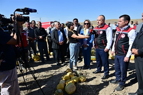 Nevşehir’de Çerezlik Kabak Hasadı Yapıldı