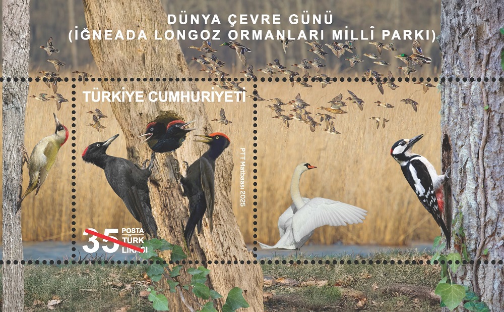 Vali Turan, anma pulu ve ilkgün zarfının tedavüle sunulması münasebetiyle gerçekleşen programa katıldı…