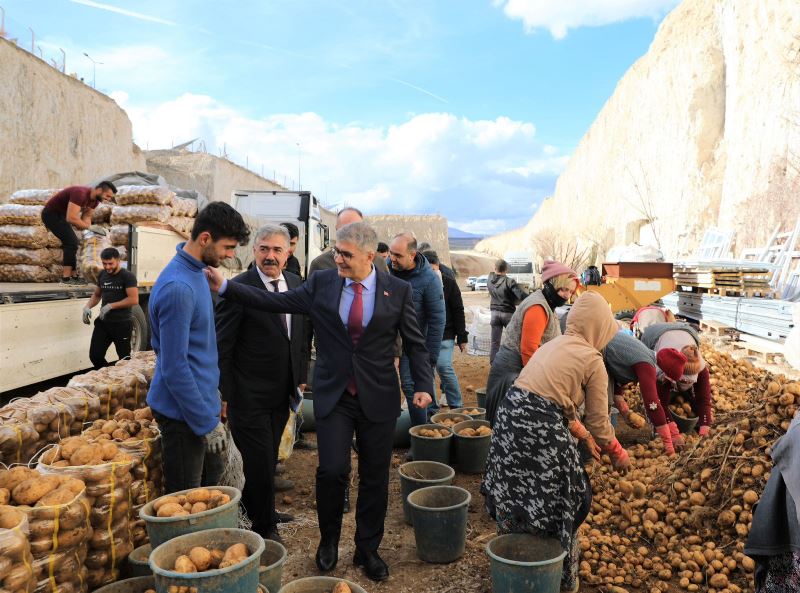 Valimiz Sayın Cahit ÇELİK Doğal Kaya Oyma Depolarında İncelemelerde Bulundu.