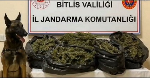 Jandarma Ekiplerimiz Mutki’de Yapmış Olduğu Operasyonda 10 Kilo 200 Gram Skunk İsimli Uyuşturucu Madde Ele Geçirdi.