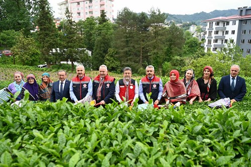Tarım ve Orman Bakanı Yumaklı, Rize'de çay hasadına katıldı