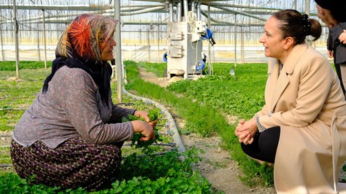 VALİ BAYDAR BİLGİHAN, TARIMSAL İŞLETME ZİYARETLERİNDE BULUNDU