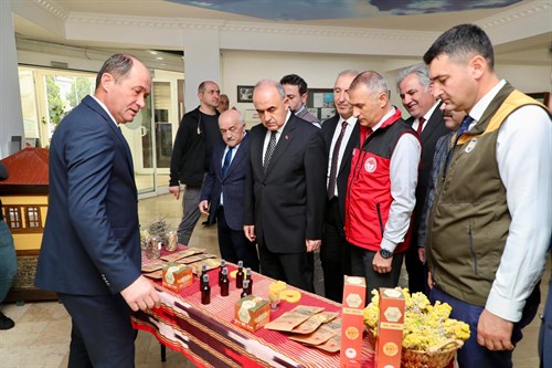 DOKAP İllerinde Arı Kolonilerinin Hastalıklarla Mücadele ve Tedavisi Projesinin Tanıtımı Yapıldı