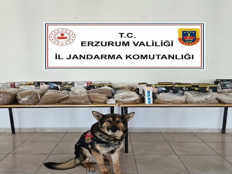 İl Jandarma Komutanlığından Kaçakçılıkla Mücadele Operasyonları