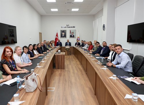 BM ILO Heyeti Vali Erol’u Ziyaret Etti