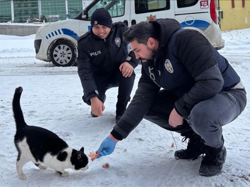 Erzincan’da Polis, Sokak Hayvanlarını Unutmadı