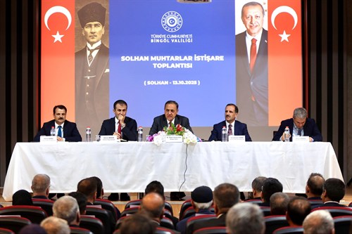 Vali Usta, Solhan İlçesinde Bir Dizi Ziyaret ve İncelemede Bulundu