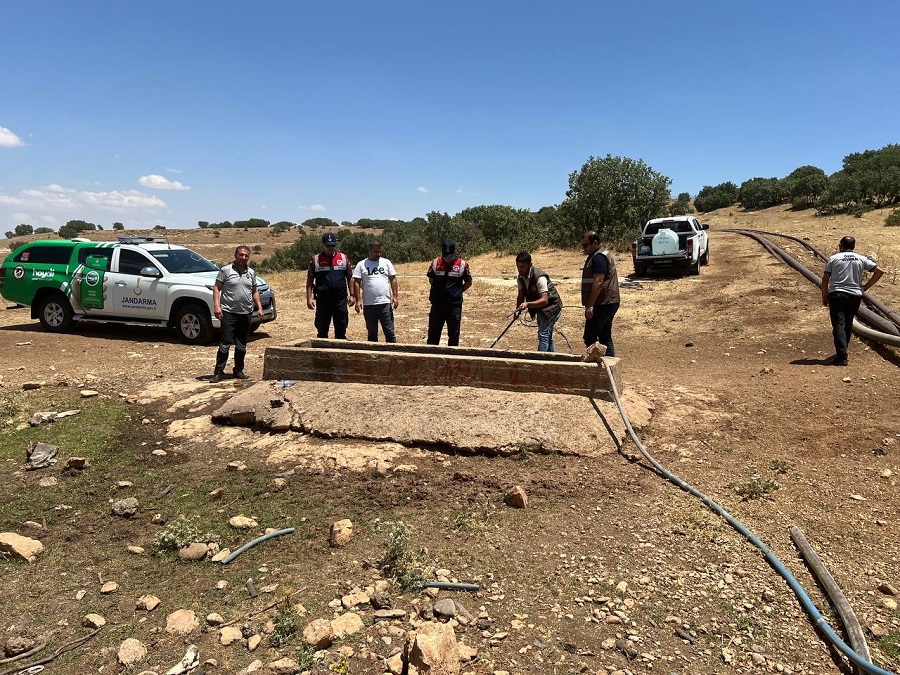 Aşırı Sıcaklarda Yaban Hayvanlarına Can Suyu: Kum Keklikleri Suyla Buluştu