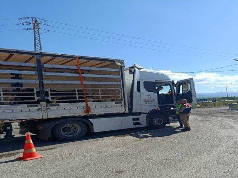 İl Jandarma Komutanlığından Düzensiz Göçle Mücadele Kapsamında Yapılan Çalışmalar