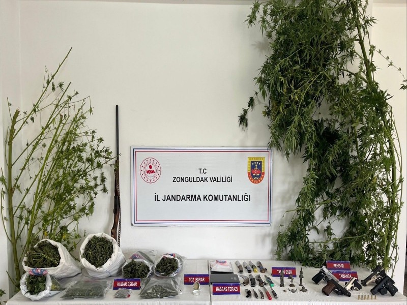 Zonguldak İl Jandarma Komutanlığı Tarafından Narkotik Operasyonu Gerçekleştirdi