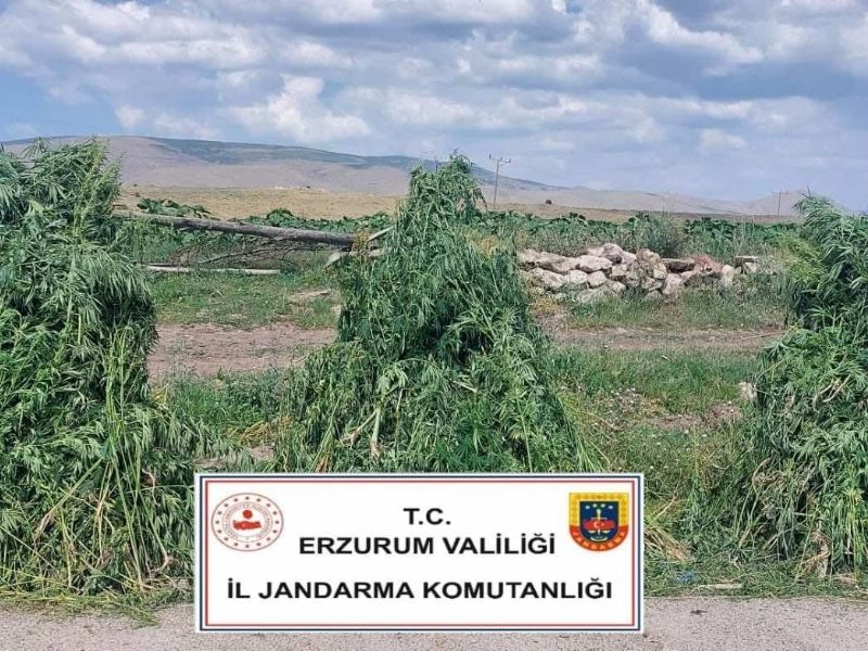 Erzurum İl Jandarma Komutanlığından Uyuşturucu Operasyonu