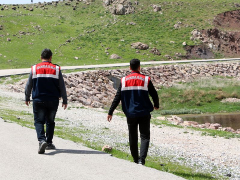 Yüksekova'da Ters Laleleri Jandarma Ekipleri Koruyor
