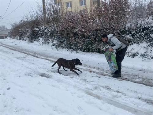 HAYDİ Ekibi Sokak Hayvanlarının Yanında