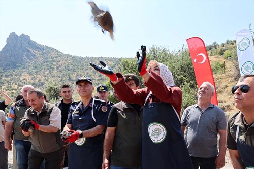 Vali Yiğitbaşı Kınalı Keklikleri Doğaya Saldı