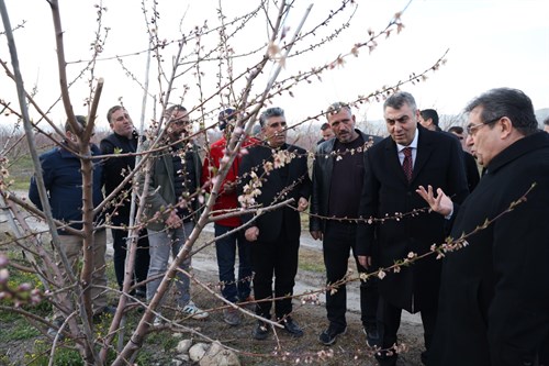 VALİMİZ SAYIN ATİLLA TOROS, AKDENİZ İLÇEMİZE BAĞLI ANADOLU MAHALLESİ’NDE ÜRÜNLERİ ZARAR GÖREN ÇİFTÇİLERİ ZİYARET ETTİ