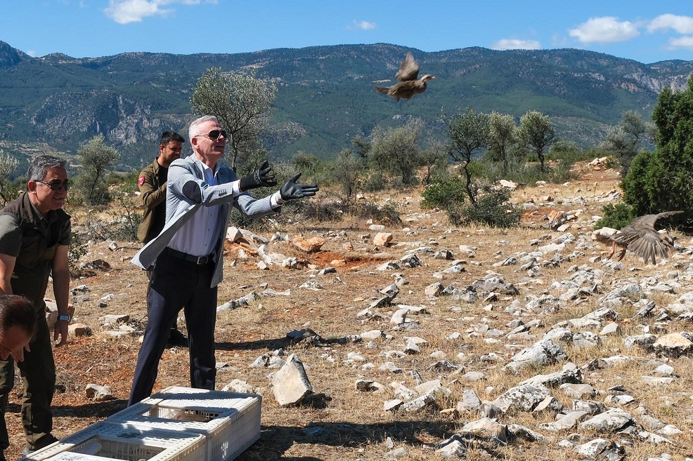 Doğal Hayat Kınalı Kekliklere Emanet
