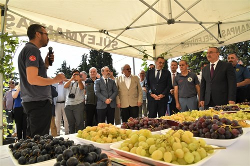 Yeni Üzüm Çeşitleri Tanıtım Programı Düzenlendi