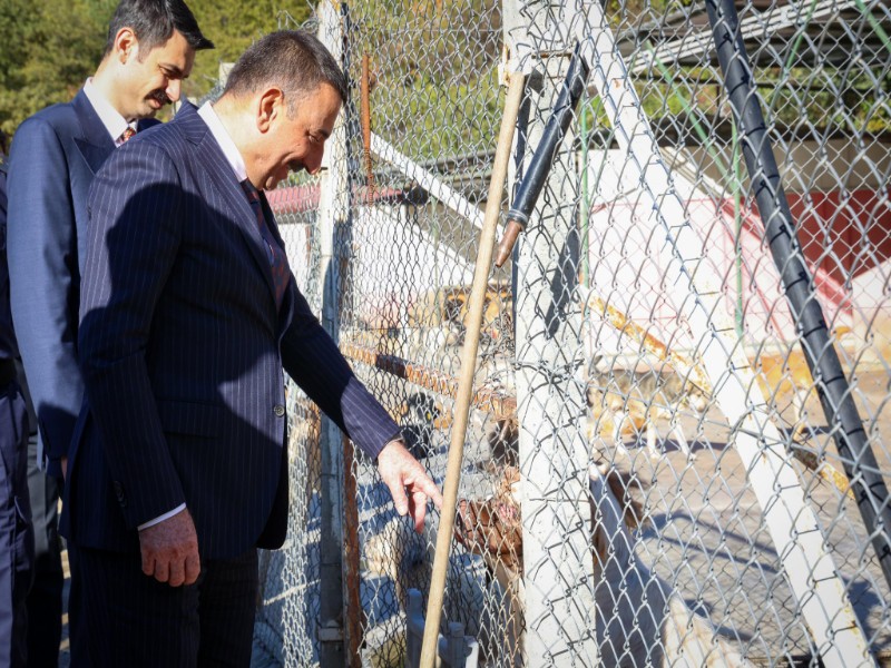 Vali Osman Hacıbektaşoğlu, Devrek İlçesinde Bulunan Hayvan Barınağını Ziyaret Etti