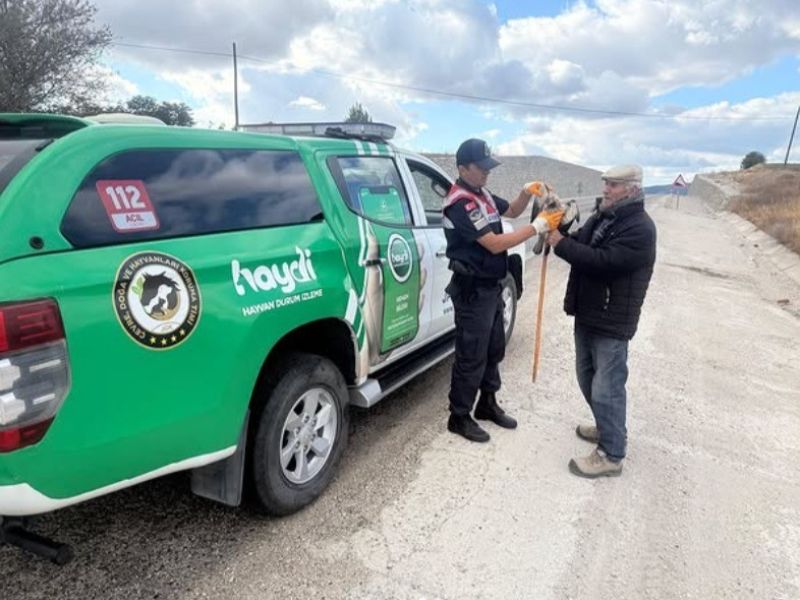 Yaralı Atmacaya Jandarma Sahip Çıktı
