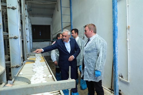 40 bin kapasiteli yumurta üretim tesislerini ziyaret