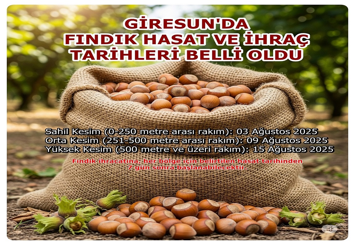 Giresun'da 2025 Yılı Fındık Hasat ve İhraç Tarihleri Belirlendi