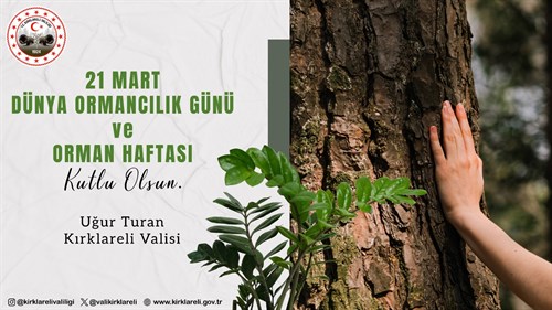 21 MART DÜNYA ORMANCILIK GÜNÜ ve ORMAN HAFTASI