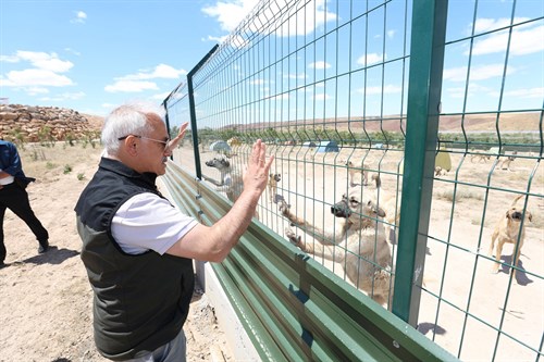 Vali Kumbuzoğlu, Sahipsiz Hayvan Bakımevi ve Doğal Yaşam Alanı’nda İncelemelerde Bulundu