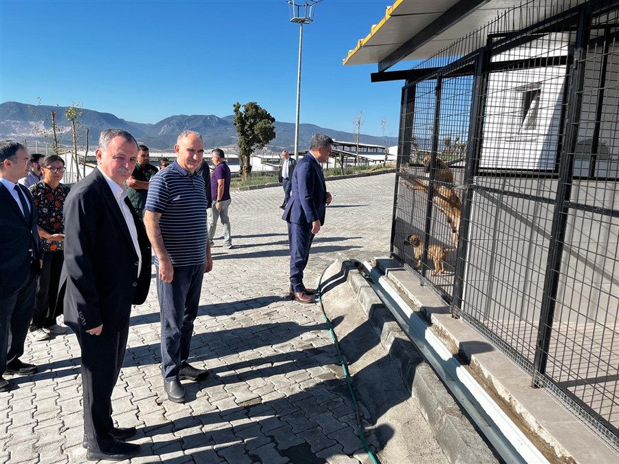 İlimizde, Sahipsiz Hayvanlarla İlgili Sorunları Gidermek Amacıyla Çalışmalar Devam Ediyor