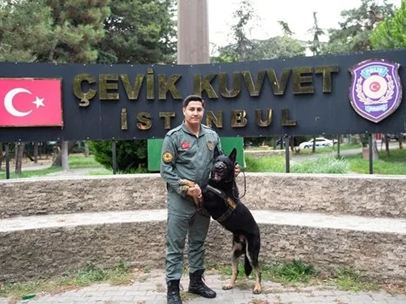 Patili Kahramanlar Görev Başında: Emniyet'in Gizli Gücü Asayiş Köpekleri