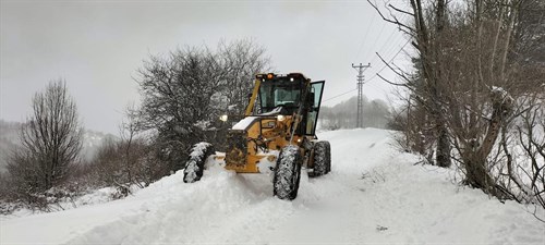 Kar Yağışı Ordu’da Hayatı Olumsuz Etkiliyor