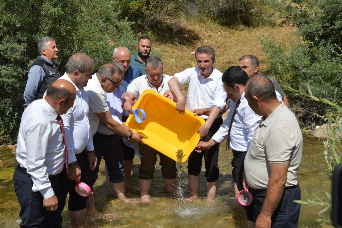 Valimiz Aydın Baruş Kırmızı Benekli Alabalıkların Doğaya Salımı Etkinliğine Katıldı
