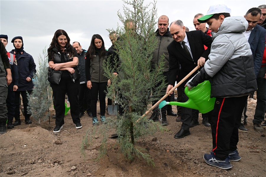 'Manisa’da 35 bin fidan toprakla buluşturuldu'
