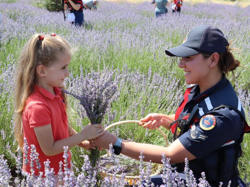 Jandarma Ekipleri Lavanta Şenliklerinde Çocuklarla Bir Araya Geldi