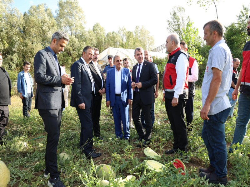 Vali Osman Hacıbektaşoğlu, Kartopu Yem Karpuzu Yayım Projesi Kapsamında Kurulan Tarlayı Ziyaret Etti