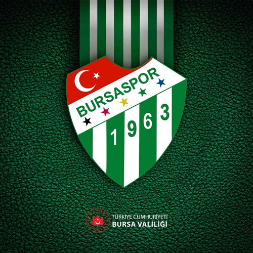 Başarılar Bursaspor!