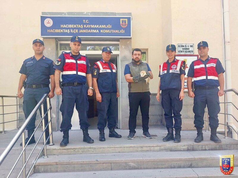 HAYDİ Ekiplerinden Kanatlı Dostlara Yardım Eli; Jandarma Ekipleri Doğaya Nefes, Yaralı Kuşlara Umut Oldu