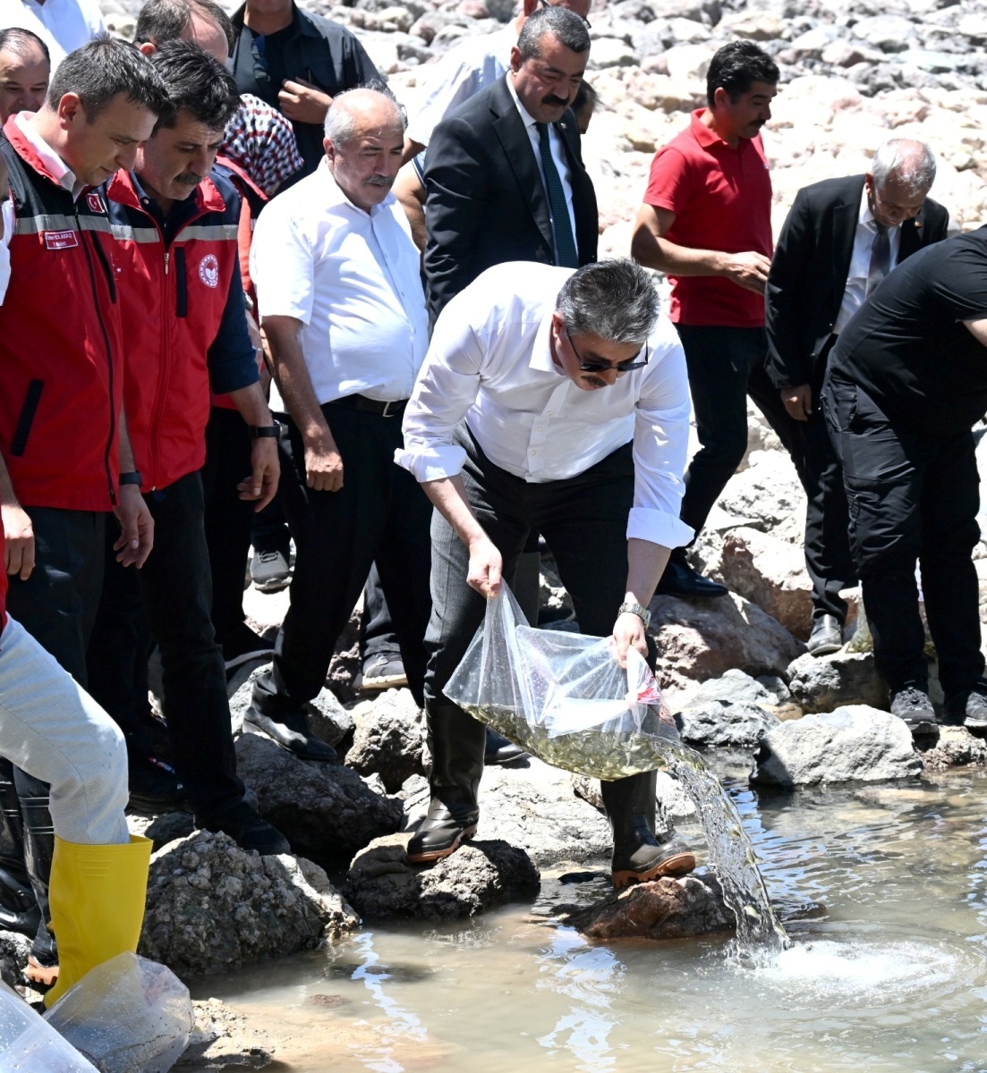 Düziçi İlçemizdeki Karacaören Göletine 10.000 Pullu Sazan Balığı Yavrusu Bırakıldı