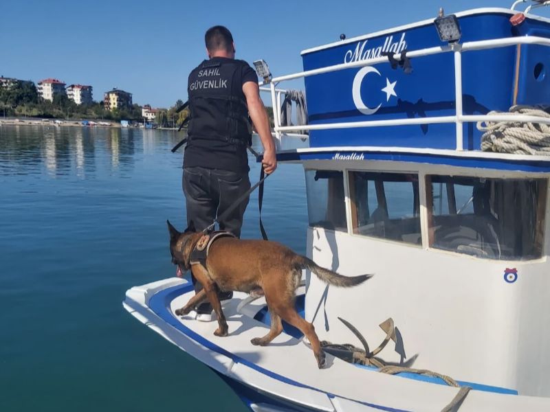 Sahil Güvenlik Komutanlığı Ekiplerimiz, Ordu İlinde Suçla Mücadele Kapsamında Narkotik Dedektör Köpeklerimizin Desteğiyle Çalışmalarını Sürdürüyor