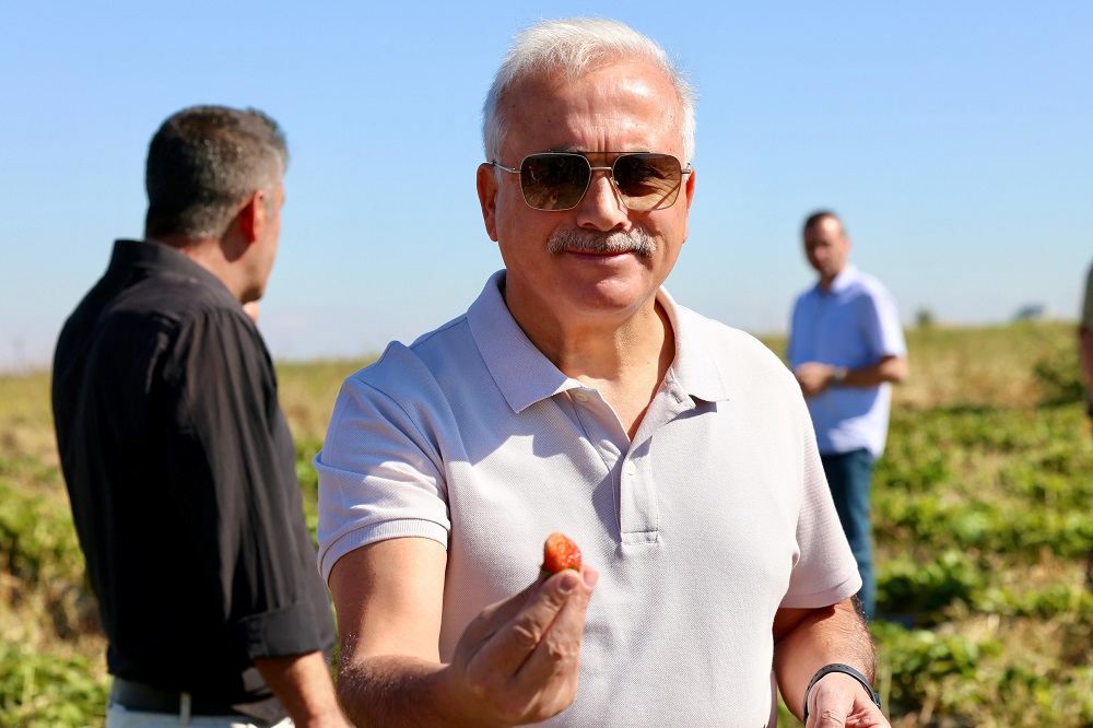 Vali Kumbuzoğlu:’ Çilek ekimini teşvik ediyoruz’
