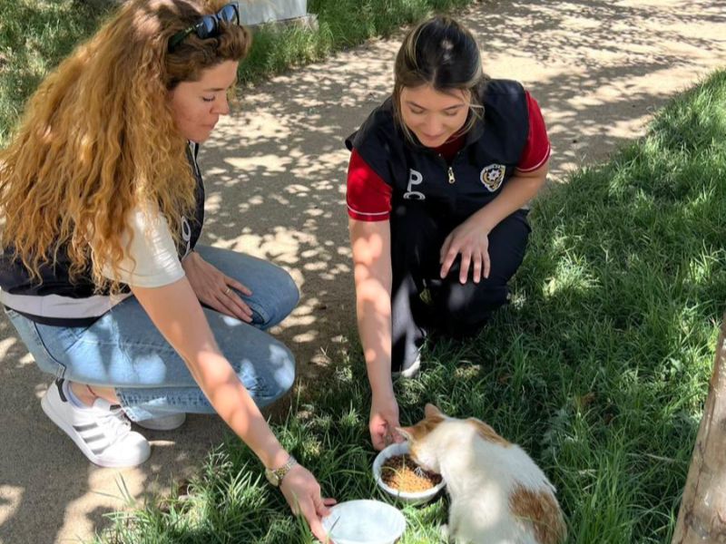 Adıyaman Besni İlçe Emniyet Müdürlüğü Toplum Destekli Polis Ekipleri Sıcak Havalarda Sokakta Yaşayan Can Dostları Unutmadı