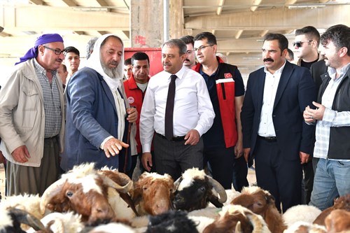 Şanlıurfa’da Kurban Satış Ve Kesim Yerleri Belirlendi
