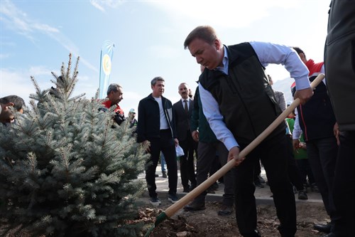 11 Kasım Milli Ağaçlandırma Günü