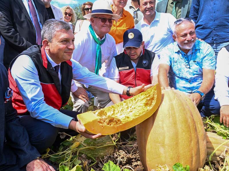 Tarladan Dünya Sofrasına Döşemealtı Camili Bal Kabağı 